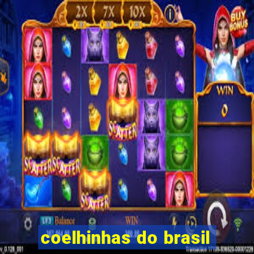 coelhinhas do brasil